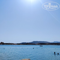 фото из отзыва ID 2722536