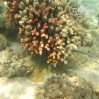 фото из отзыва ID 2722608