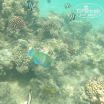 фото из отзыва ID 2722608