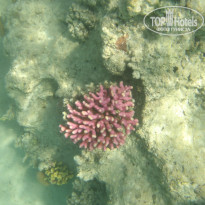 фото из отзыва ID 2722608