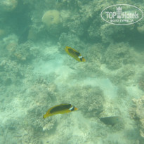 фото из отзыва ID 2722608