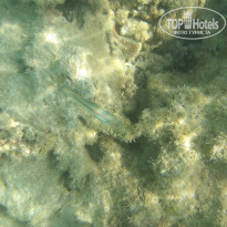 фото из отзыва ID 2722608