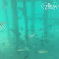 фото из отзыва ID 2722608