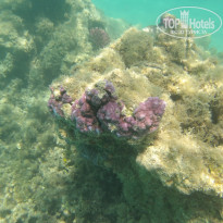 фото из отзыва ID 2722608