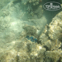 фото из отзыва ID 2722608