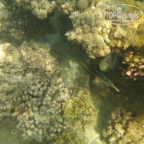 фото из отзыва ID 2722608