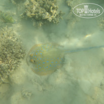 фото из отзыва ID 2722608