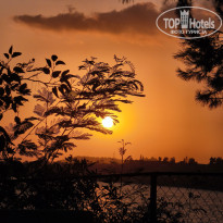 фото из отзыва ID 2721509