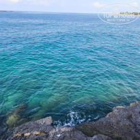 фото из отзыва ID 2721509