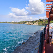 фото из отзыва ID 2721509