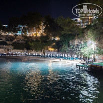 фото из отзыва ID 2721509