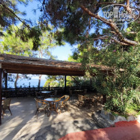 фото из отзыва ID 2721509