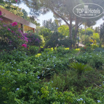 фото из отзыва ID 2721509