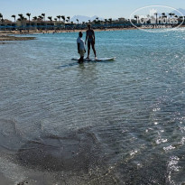 фото из отзыва ID 2722644