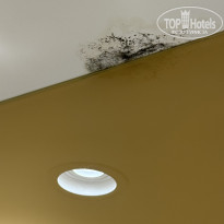 фото из отзыва ID 2722665