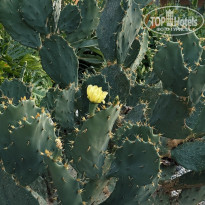 фото из отзыва ID 2722665