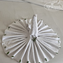 фото из отзыва ID 2722666