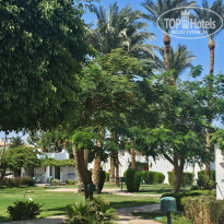 фото из отзыва ID 2722668