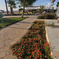 фото из отзыва ID 2722668