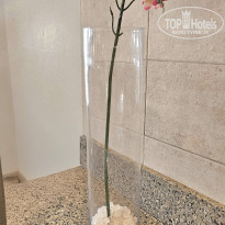 фото из отзыва ID 2722668