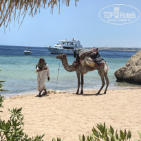 фото из отзыва ID 2722675