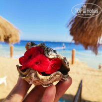 фото из отзыва ID 2722675