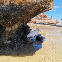 фото из отзыва ID 2722675