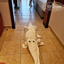 фото из отзыва ID 2722675