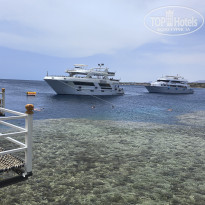 фото из отзыва ID 2722675