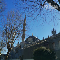 фото из отзыва ID 2722682