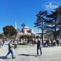 фото из отзыва ID 2722682