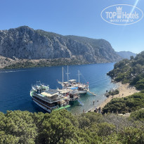 фото из отзыва ID 2722684