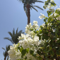 фото из отзыва ID 2722731
