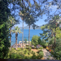 фото из отзыва ID 2722734