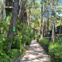 фото из отзыва ID 2722734