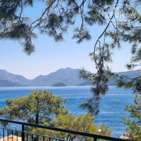 фото из отзыва ID 2722734