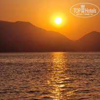 фото из отзыва ID 2722734