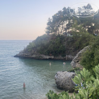 фото из отзыва ID 2722747