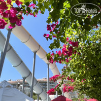 фото из отзыва ID 2722770