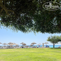 фото из отзыва ID 2722770