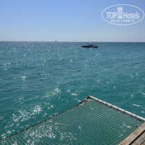 фото из отзыва ID 2722770