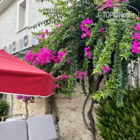 фото из отзыва ID 2722770