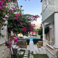 фото из отзыва ID 2722770