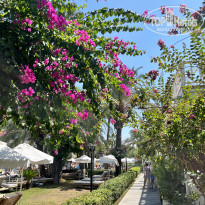 фото из отзыва ID 2722770