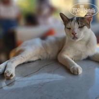 фото из отзыва ID 2722668