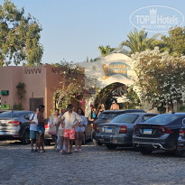 фото из отзыва ID 2722668