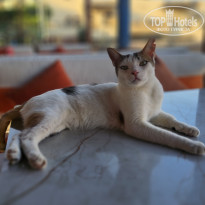 фото из отзыва ID 2722668