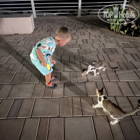 фото из отзыва ID 2722823