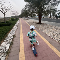 фото из отзыва ID 2722835