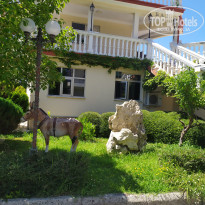 фото из отзыва ID 2722826